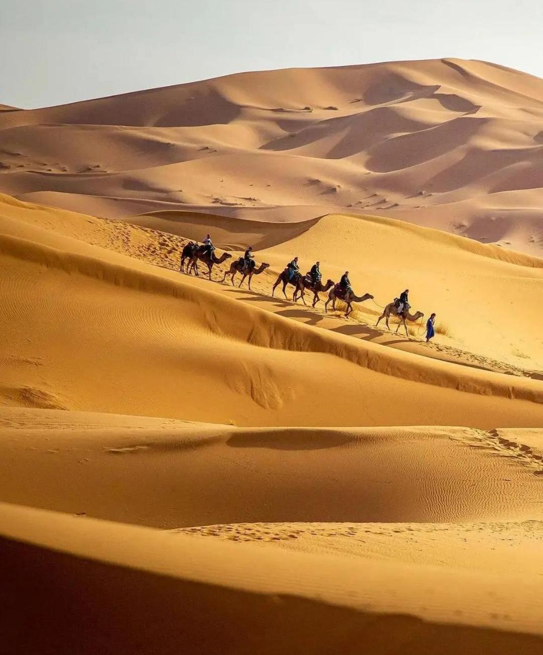 Khamlia Luxury Desert Camp Merzouga Zewnętrze zdjęcie
